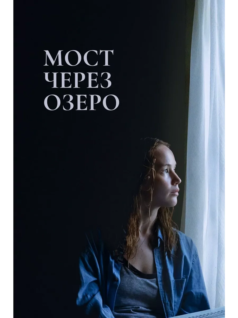 Мост через озеро (2022) (DVD-R)
