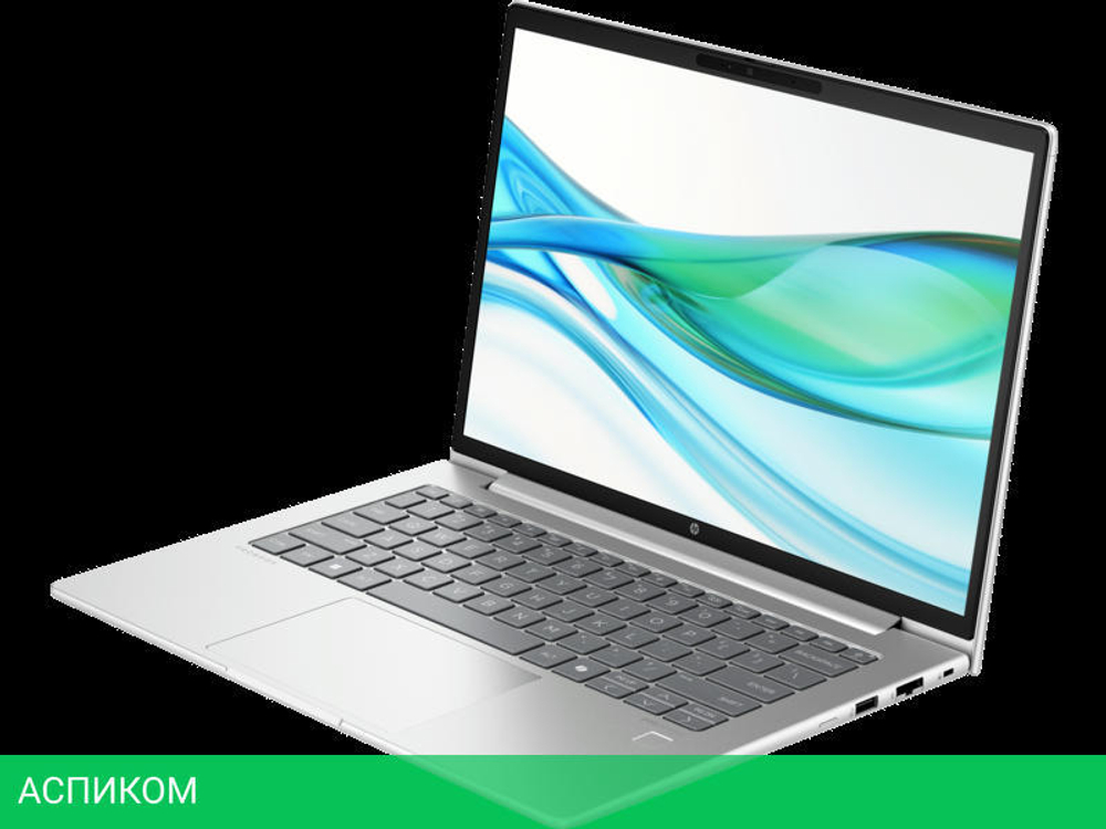 Ноутбук HP ProBook 440 G11 Silver (8Z4N0AV)