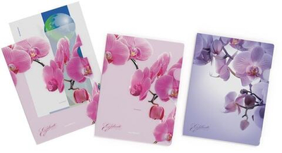 Папка-уголок А4 4 шт. Romantique (Erich Krause)