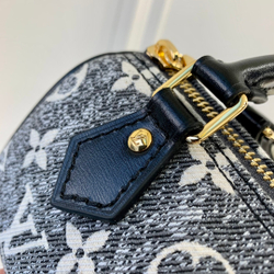 Louis Vuitton Nano Speedy