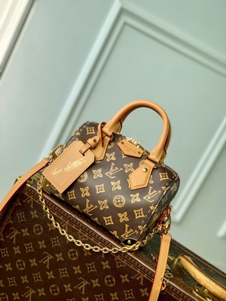 Louis Vuitton Speedy Trunk 20