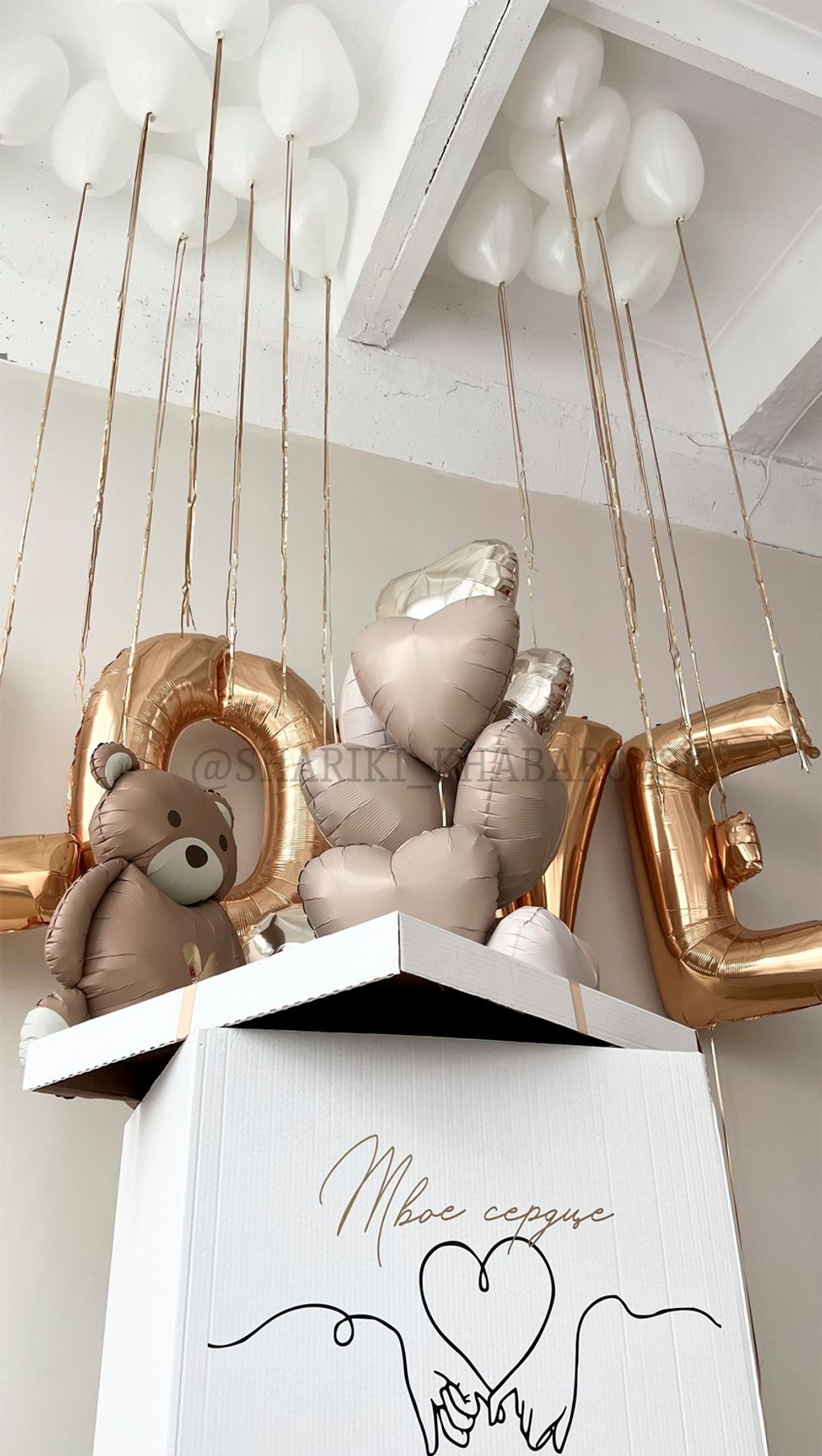 Воздушные шары №6058  Изображение2