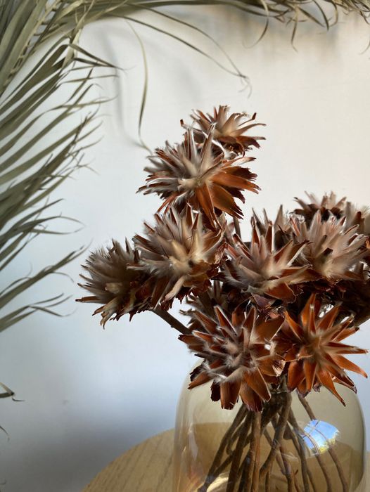 Dried Flowers Moscow