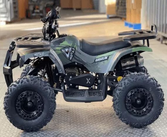 Электроквадроцикл MOTAX GRIZLIK X16 NEW E1000 BW