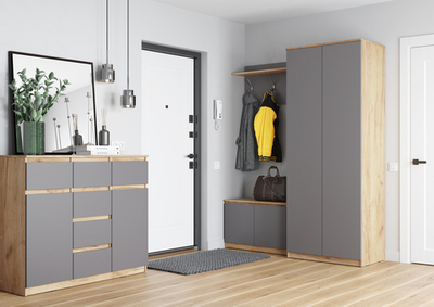 ШР-2/1 Шкаф СИТИ графит/дуб золотистый