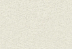 Микрофибра Montana (Монтана) 10