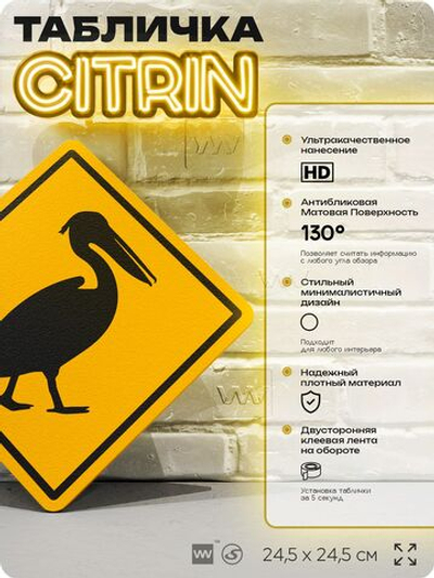 Табличка прикольная "Осторожно, пеликан" на дверь и стену, информационная и предупреждающая, декоративный знак, 24,5х24,5 см, пластиковая, Айдентика Технолоджи