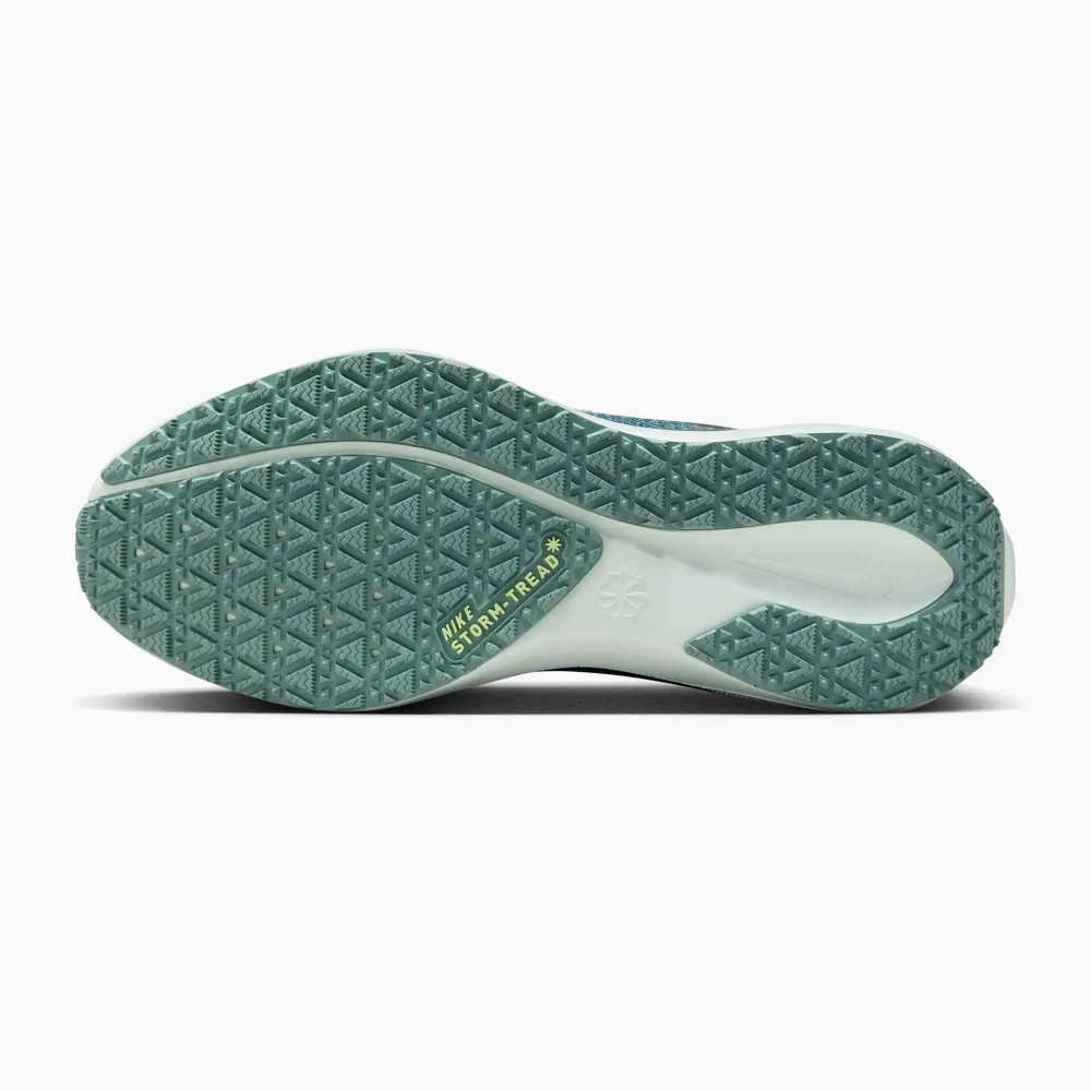 Женские Кроссовки для бега Nike Pegasus 41 GORE-TEX cannon/barely green/bleached turq