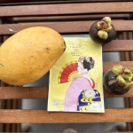 Aishodo Увлажняющая маска для лица на основе коллагена Айшодо Майко- Maiko Moisture Facial Mask Collagen, 10 шт.