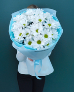 Кустовая хризантема"Ромашка",5 веток(00156)