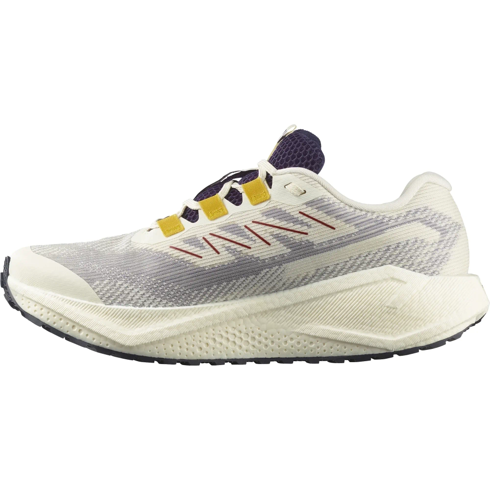 Кроссовки для бега Salomon AERO BLAZE 3 GRVL GORE-TEX Vanilla Ice / Astral Aura / Lemon