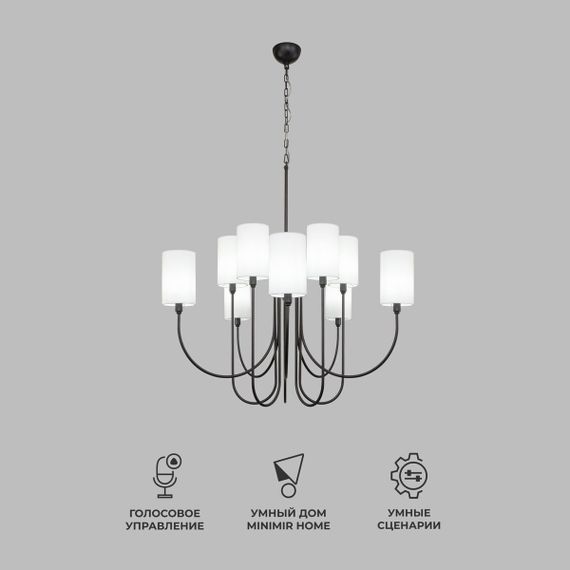 Подвесная люстра Eurosvet Abbey 60164/10 черный Smart