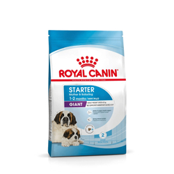 Сухой корм Royal Canin Джайнт Стартер для собак гигантских пород в конце беременности и в период лактации, для щенков до 2-х месяцев - 4 кг