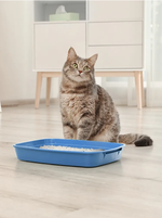 Pet-it силикагелевый наполнитель для кошек Crystal Green, без аромата, 7.6 л