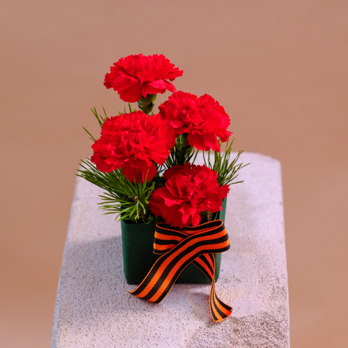 Купить Композиция с красными гвоздиками для возложения
