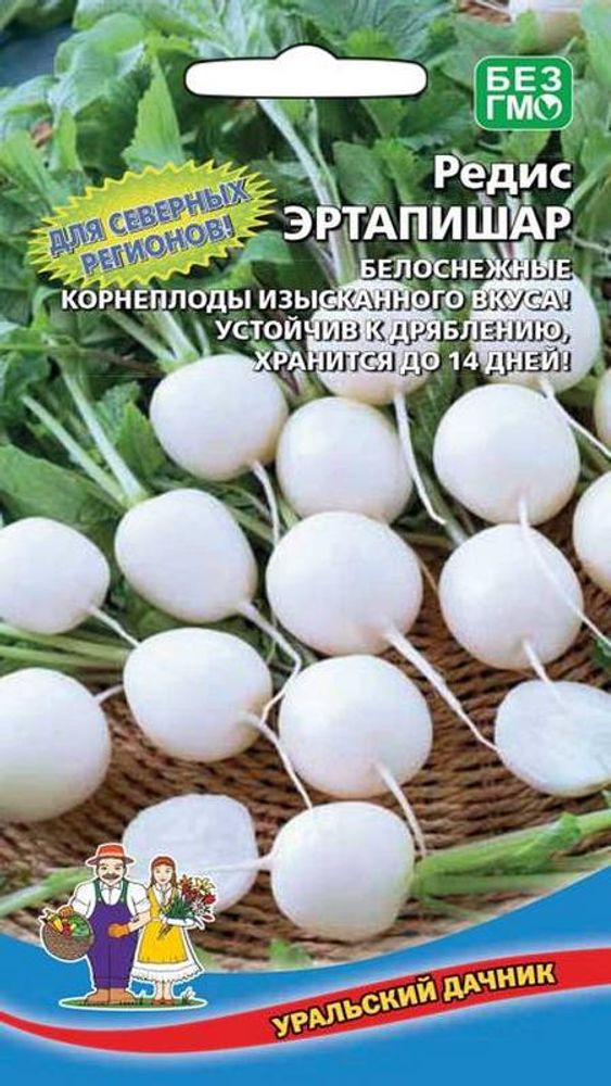 Редис &quot;G. Эртапишар&quot; 2г., Россия.