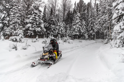 Снегоход AODES Siberiacross 1000 WT 508mm LCD 6.8