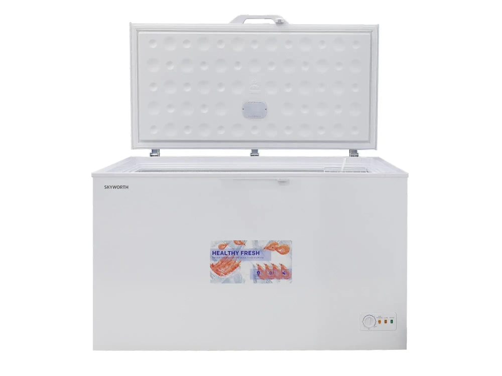 Սառցարան SKYWORTH BD-500