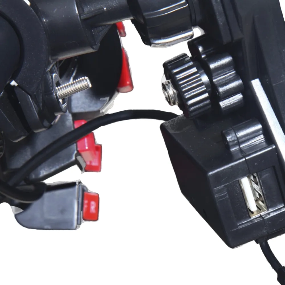 Электроскутер CityCoco Skyboard BR30-2WD (Ural) черный