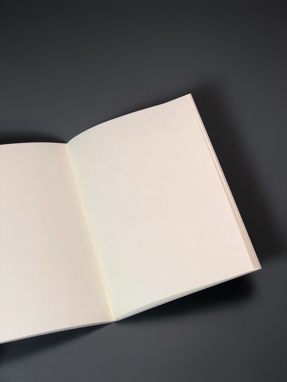 Блокнот А6 «Мяубук песочный»