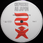 Сборник / Coincidence V. Fate (2LP)