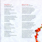 Robert Plant / Band Of Joy (CD)