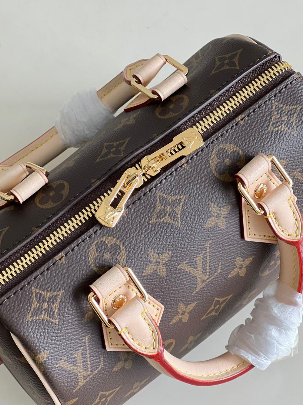 Louis Vuitton Speedy 20