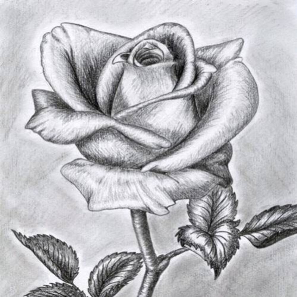 Изготовление трафаретов по эскизу заказчика.