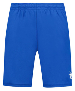 Шорты для мальчика теннисные Le Coq Sportif Kids Tennis Pro Short N°1 - небесный