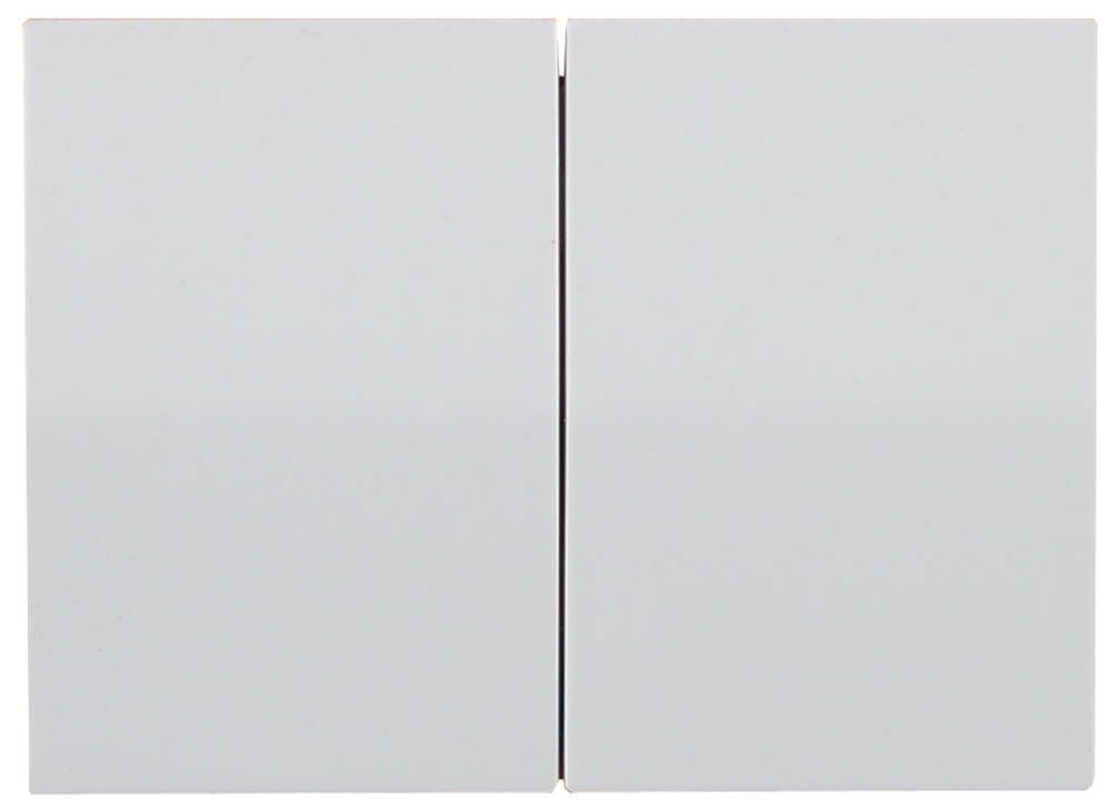 Выключатель СВЕТОЗАР ″ЭФФЕКТ″ двухклавишный, без вставки и рамки, цвет белый, 10A/~250B