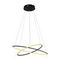 Подвесной светодиодный светильник Arte Lamp A2500SP-2BK