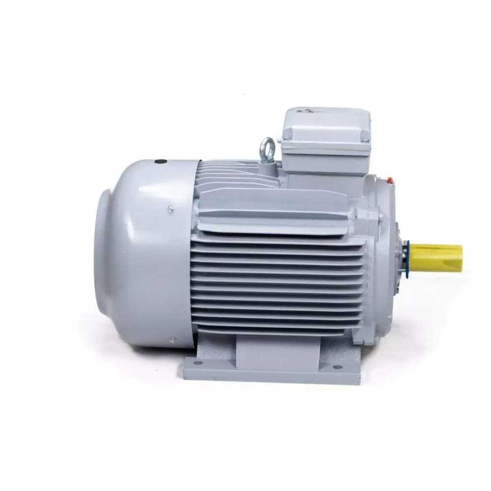 Электродвигатель ESQ PR 225 M4-SDN-Б1-S12-IE3 45/1500 IMB3