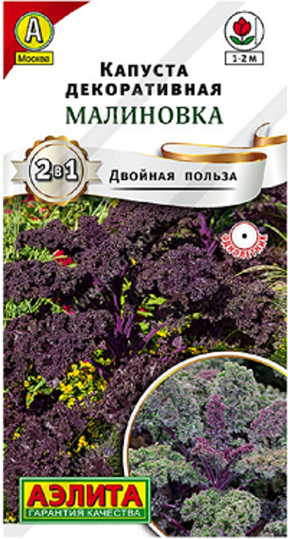 Капуста декоративная Малиновка