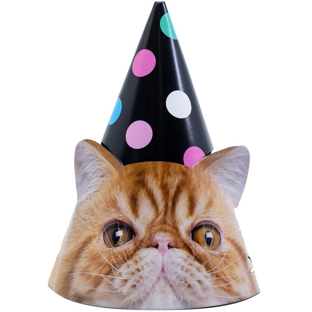 Колпаки праздничные «Котики» фотографичные, 6 шт