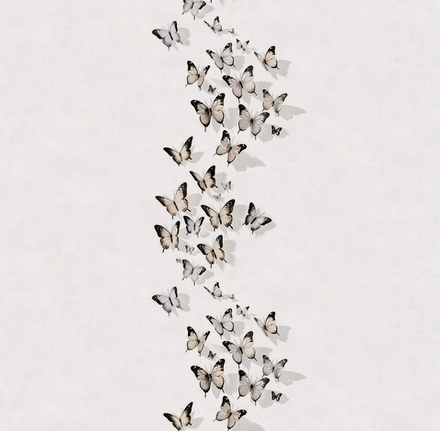 "ROSE" Incanto 589271