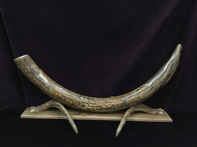 Бивень мамонта