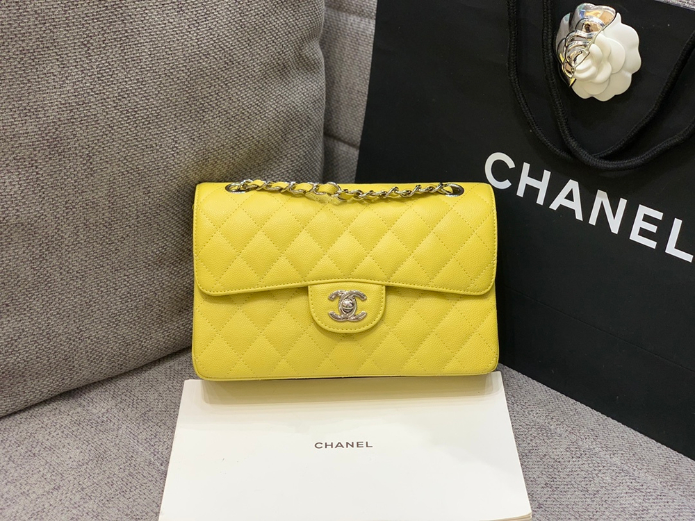 Chanel Bag 23 cm