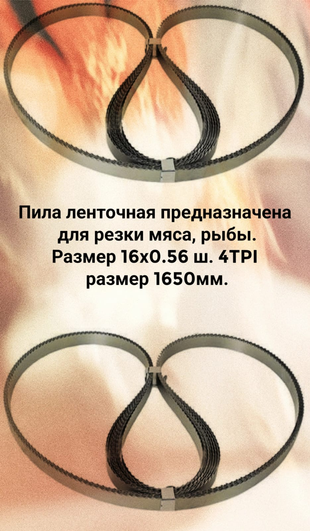Полотно для ленточной пилы для резки мяса, рыбы и костей. Лента пильная, шаг зуба 4 TPI 16x0.56x1650 мм.