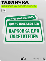Табличка для частной территории "Добро пожаловать, парковка для посетителей", на дом, для участка, организаций и частных территорий, предупреждающая, 40х30 см, Silver Plane x Айдентика Технолоджи
