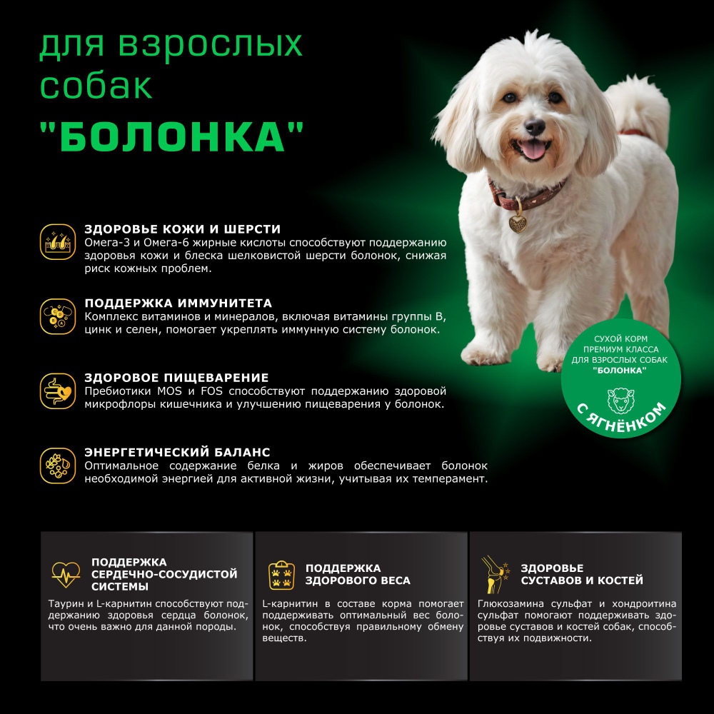 Корм сухой для взрослых собак породы Болонка, с ягненком, 800 гр, QUATTRO