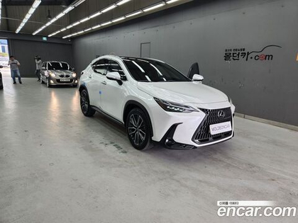 Lexus NX350h 2 Generation Luxury (11.2022)