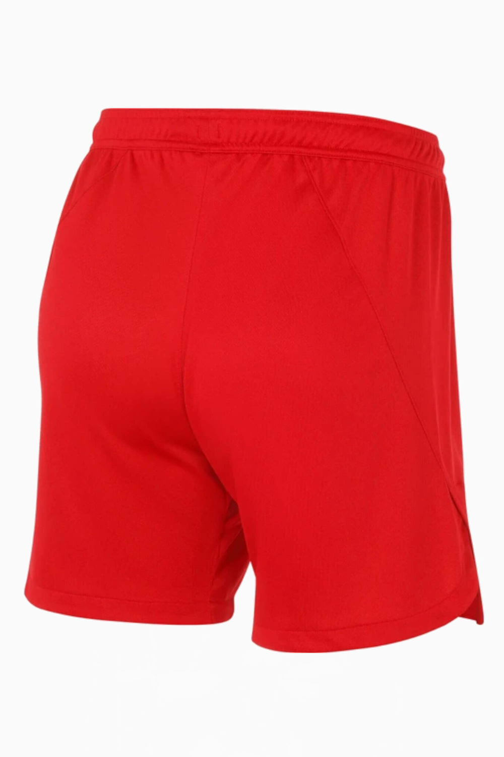 Шорты Nike Team Handball Court