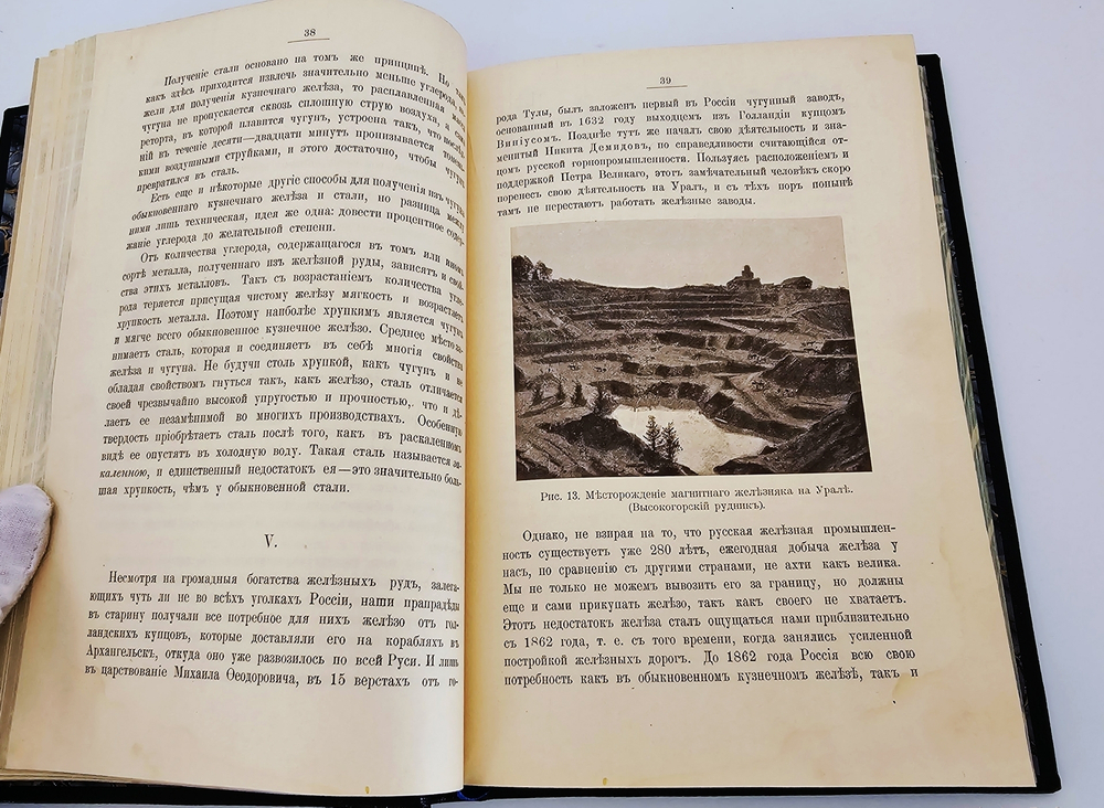"Диковинки Земли". П.Е.Васильковский. 1913г.