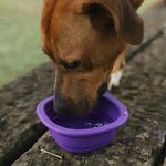 Складная миска GO BOWL PEAK Zee.Dog