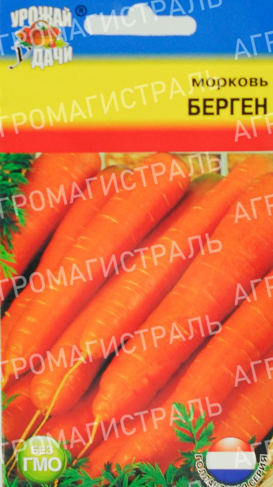 Морковь Берген Урожай уДачи Ц