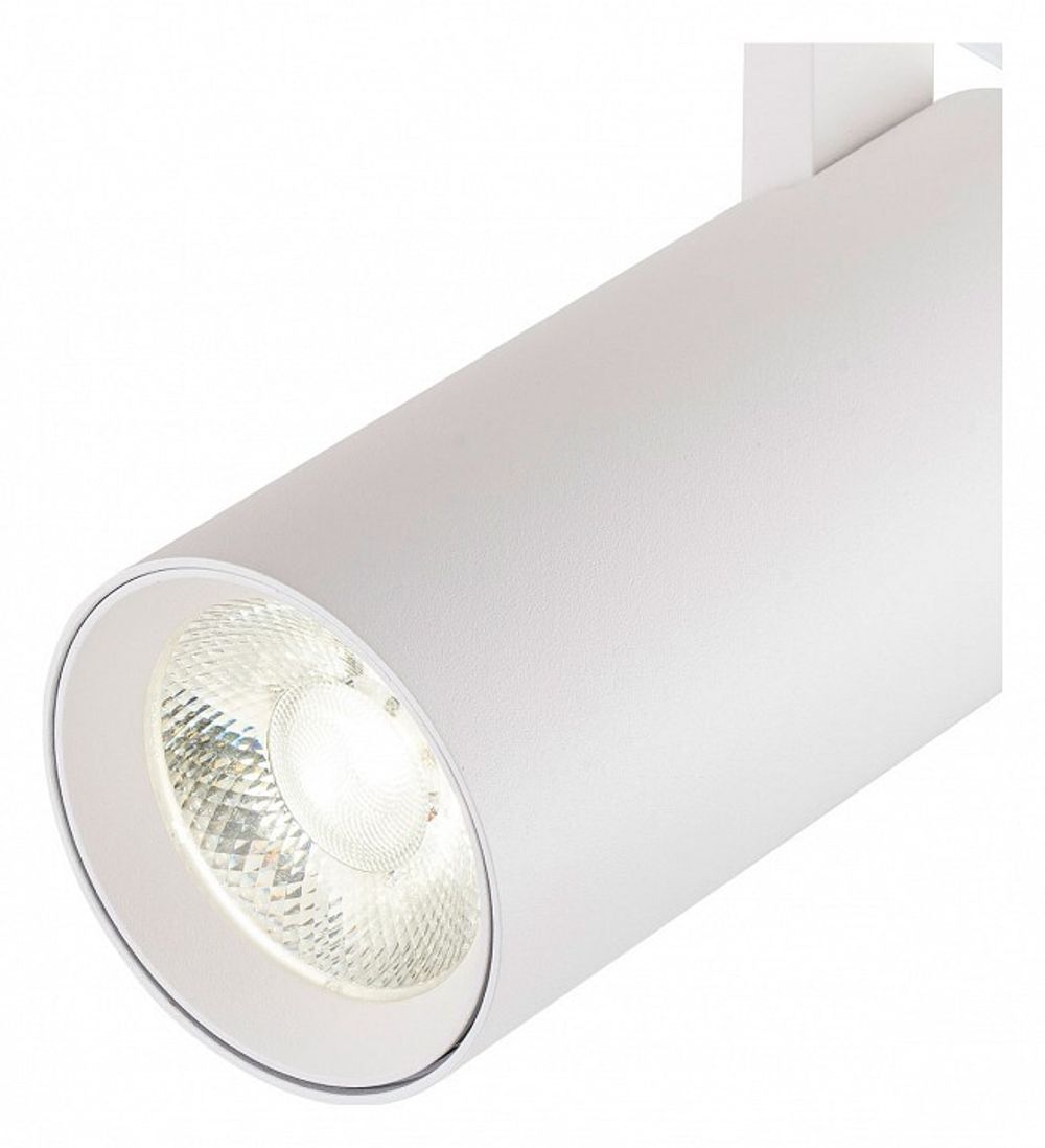 Светильник на штанге Escada 20002 20002TRA/04LED SWH