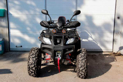 Квадроцикл GRIZZLY 250