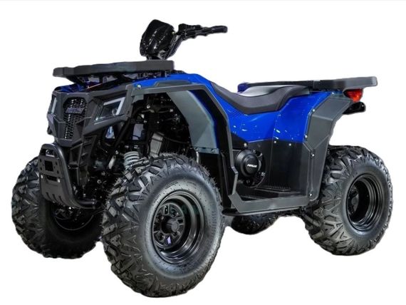 Квадроцикл PROGASI Race Jumper 200 SE