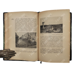 Императорский московский и Румянцевский музей. Каталог картинной галереи, 1915.