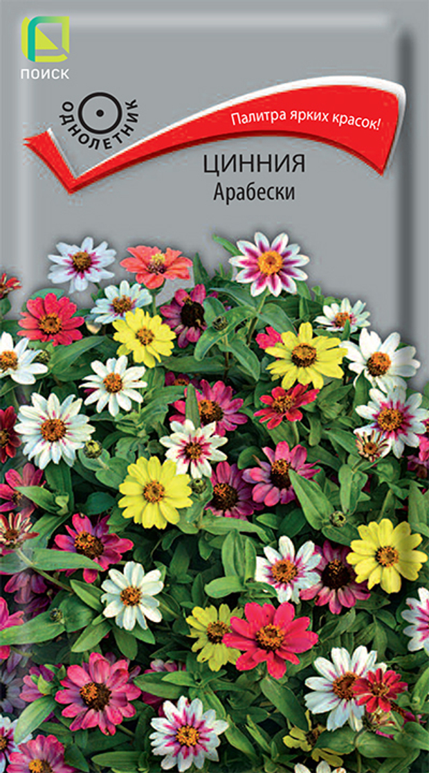 Цинния Арабески